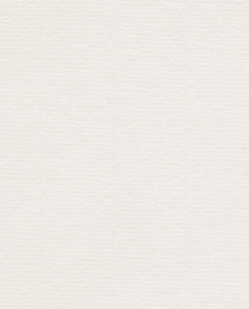 Conqueror Laid High White